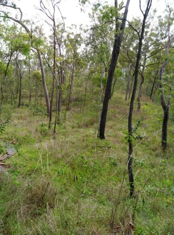 Additional image 8 of 188 Doughboy Road, Gin Gin QLD 4671