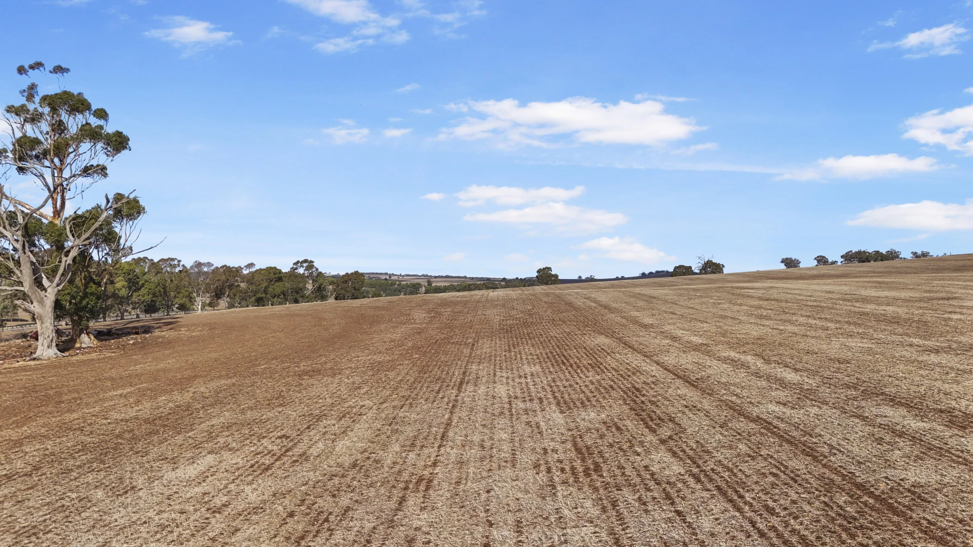 Additional image 16 of Lot 366 Horrocks Highway, Undalya SA 5451