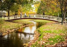 Additional image 7 of 150 Albury Street, Tumbarumba NSW 2653