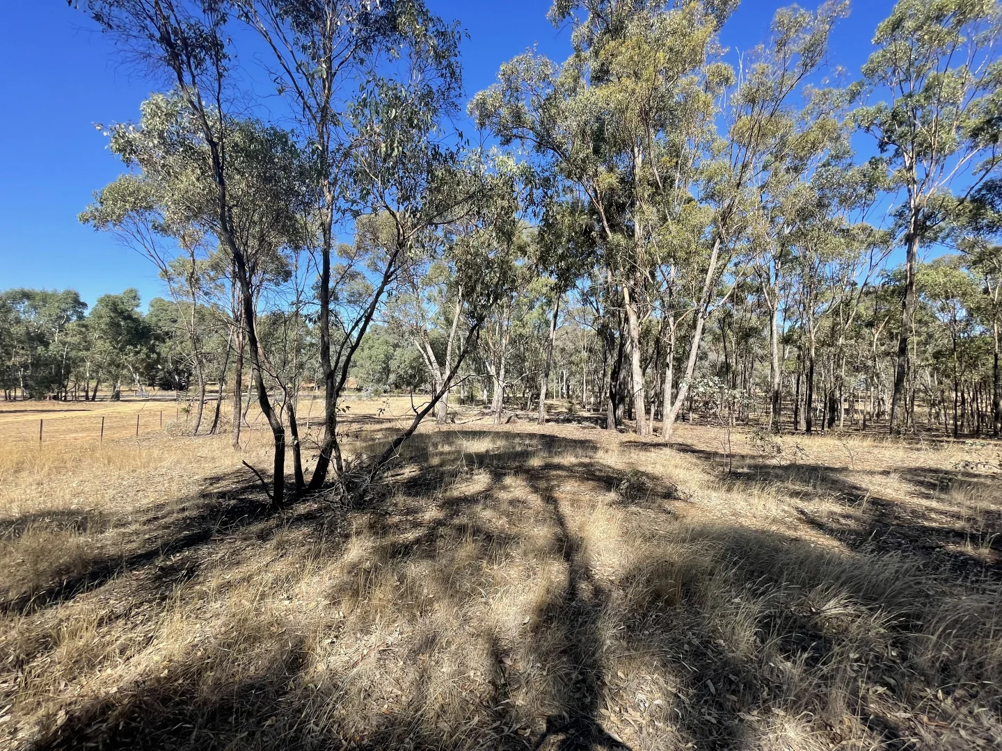 Additional image 17 of 1 Corner Wimmera Highway & Carr Road, St Arnaud VIC 3478