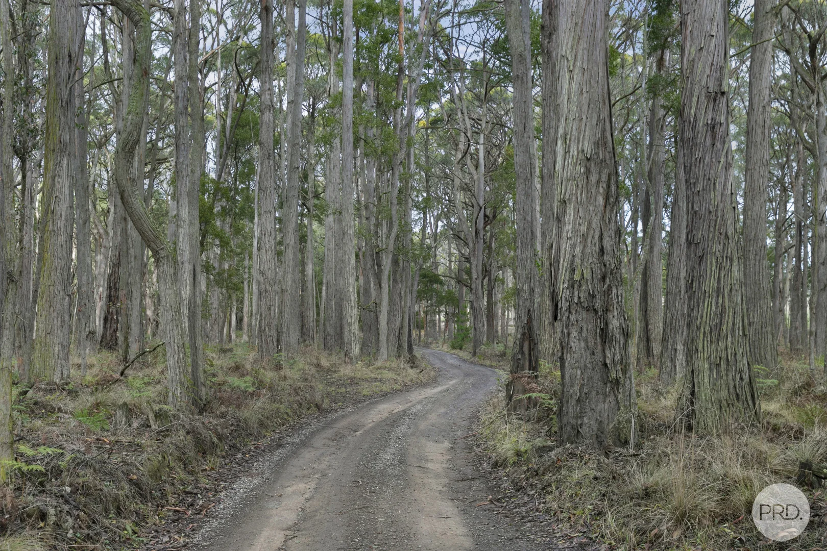 Additional image 6 of Lot 4 Haydens Hill Road, Gordon VIC 3345