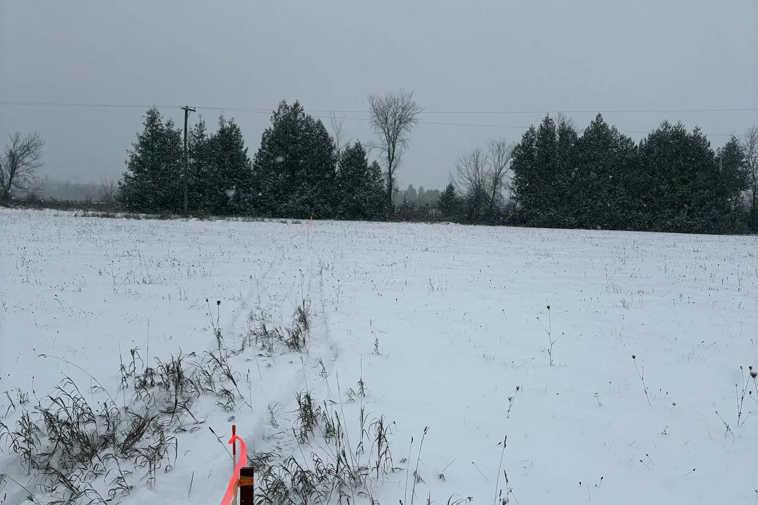 Additional image 3 of 0 Cooney Island Road