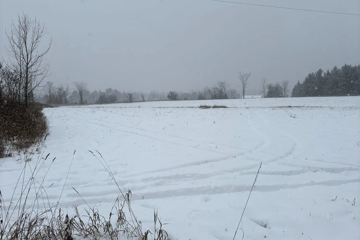 Additional image 7 of 0 Cooney Island Road