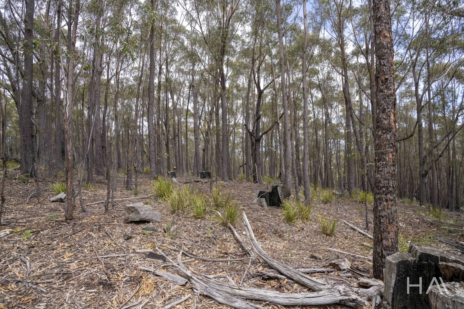 Additional image 11 of 301 Gardiners Creek Road, St Marys TAS 7215