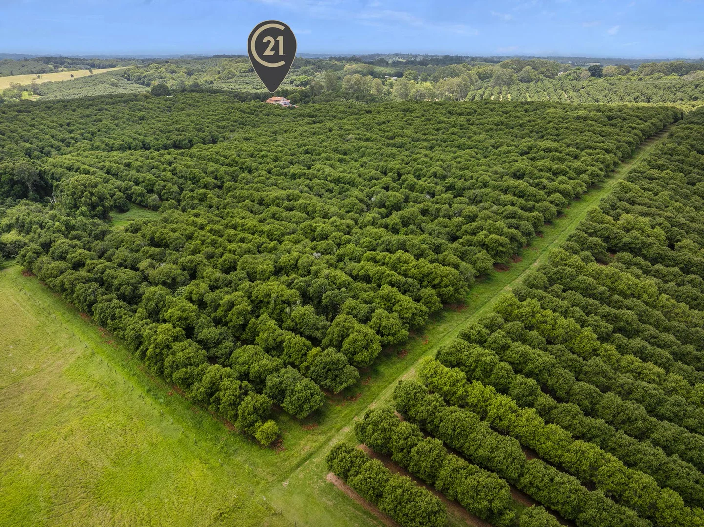 Additional image 4 of 269 Alphadale Road, Lindendale NSW 2480