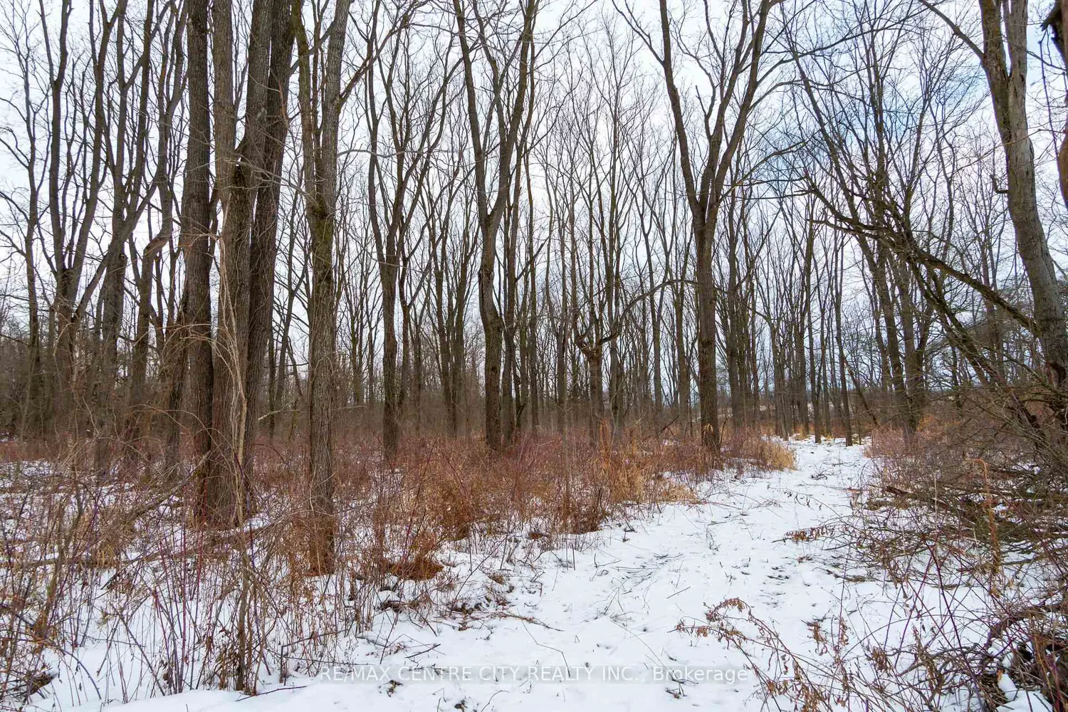 Additional image 18 of Pt Lt 24 Concession 5