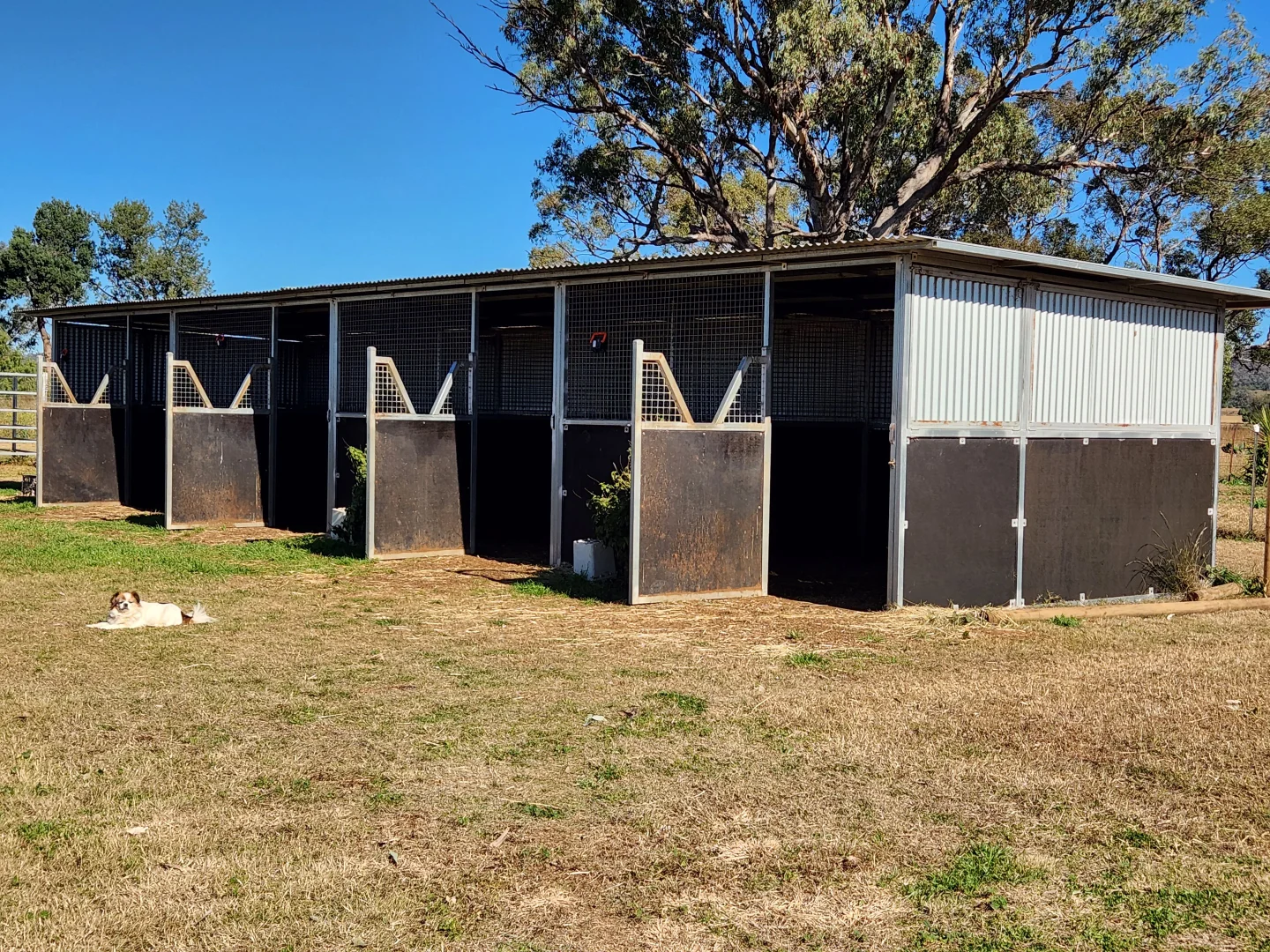 Additional image 19 of 164 Voca Rd, Curlewis NSW 2381