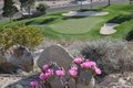 Additional image 55 of 64660 Picard Ct, Desert Hot Springs, CA, 92240