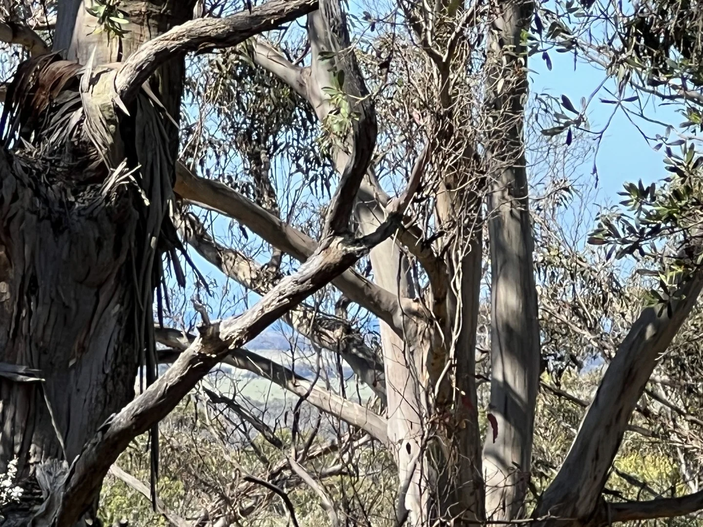 PID 6423792 Fairhaven Road, Memana TAS 7255