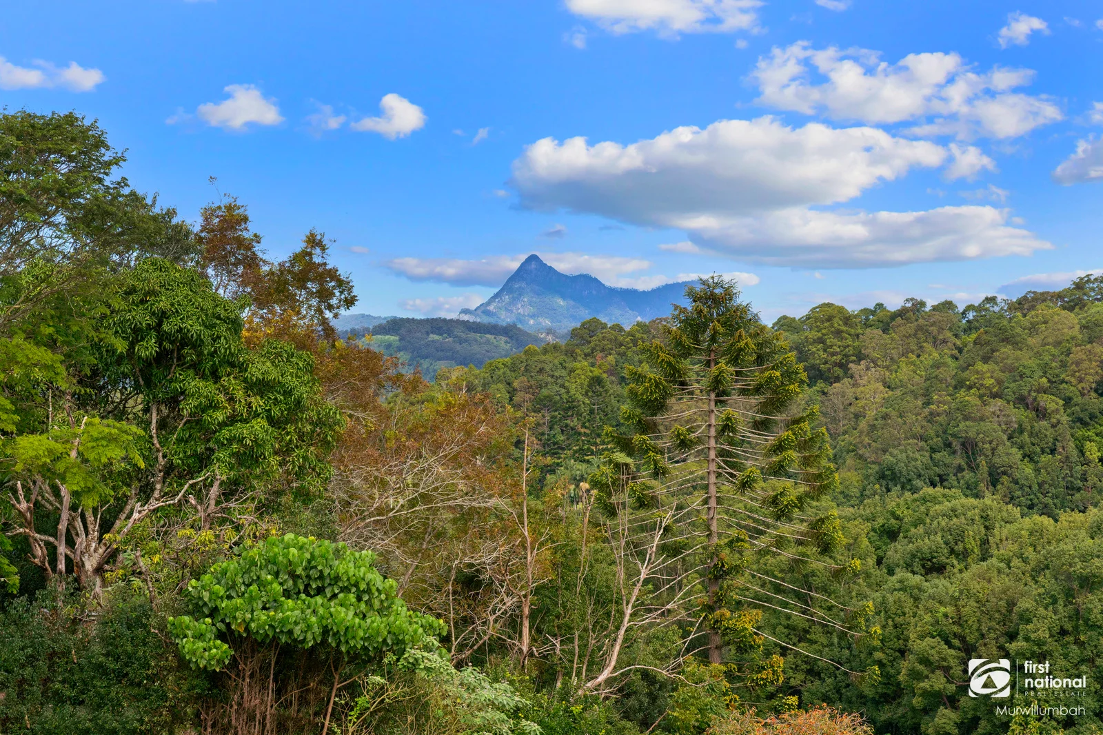 Additional image 29 of 584 Nobbys Creek Road, Nobbys Creek NSW 2484