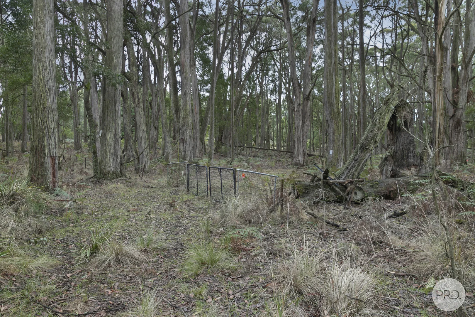 Additional image 5 of Lot 4 Haydens Hill Road, Gordon VIC 3345