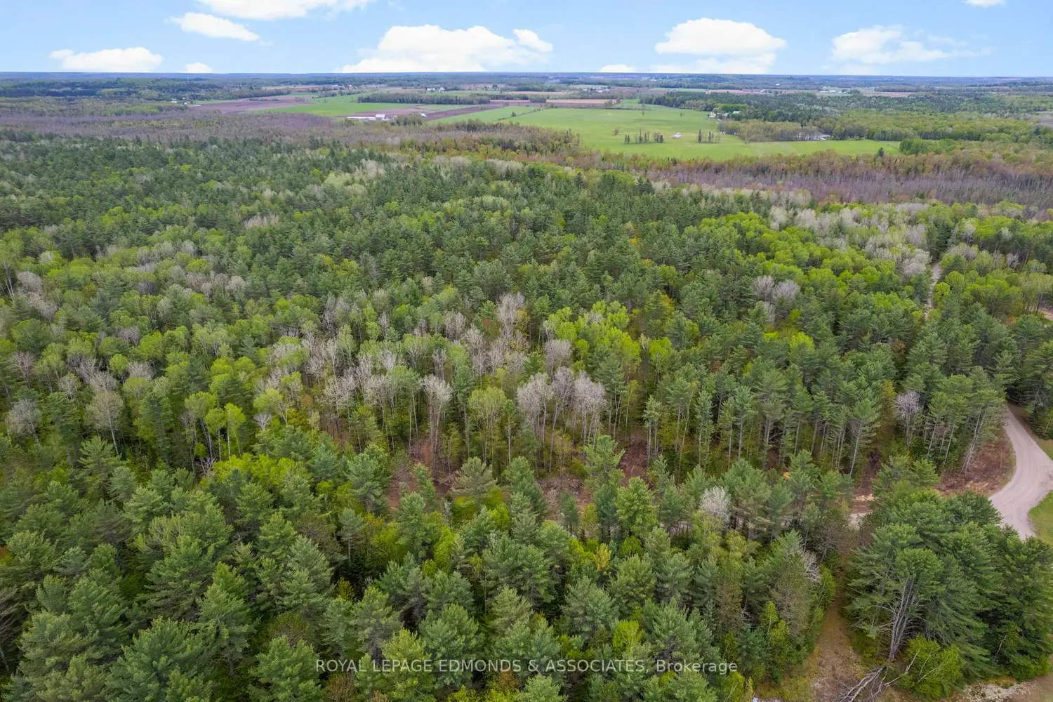 Additional image 5 of 0000 Nangor Trail