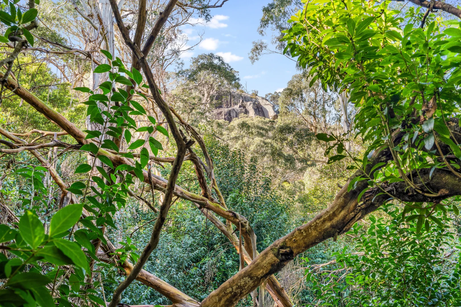 Additional image 22 of 22 Mittagong Road, Bowral NSW 2576