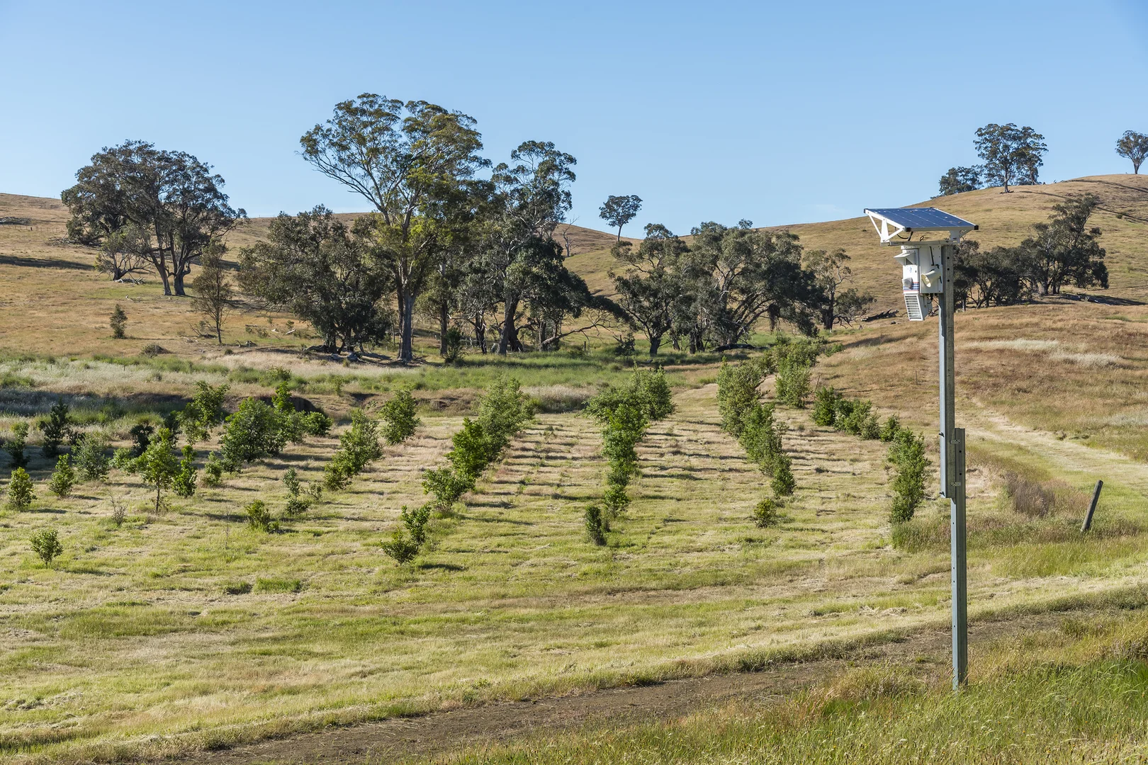 Additional image 7 of 679 Dallistons Road, Barfold VIC 3444