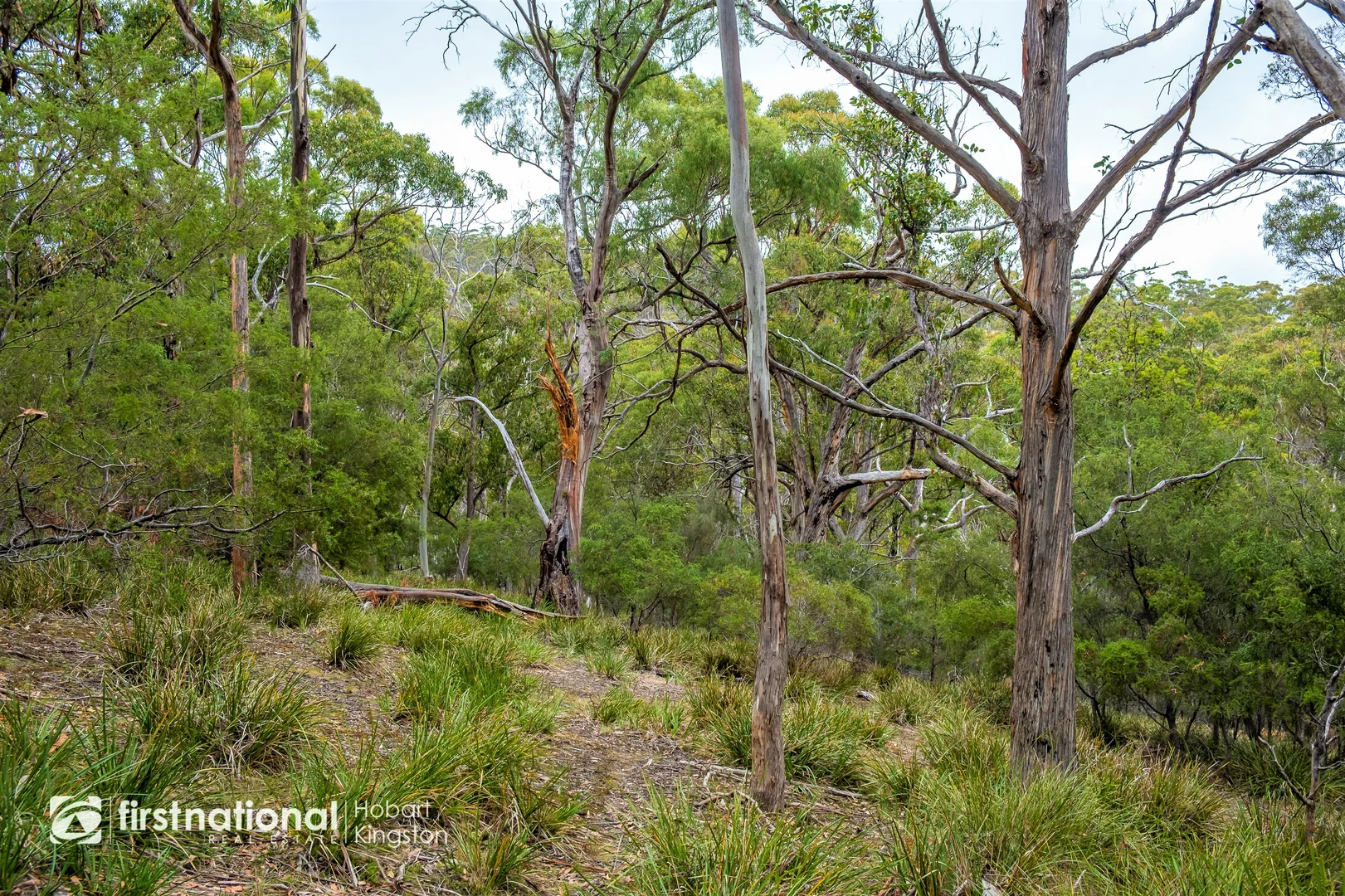 Additional image 11 of 110 Bruny Island Main Road, North Bruny TAS 7150