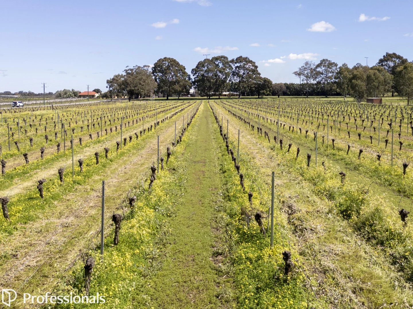 Additional image 3 of 179 Memorial Avenue, Baskerville WA 6056