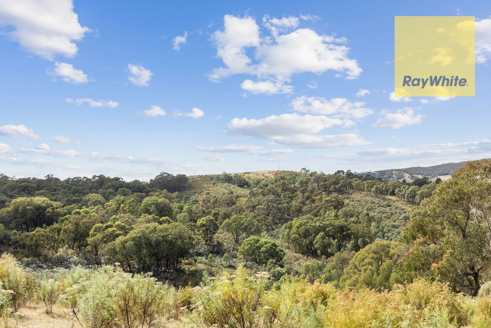 Additional image 5 of 1013 Bigga Road, Crooked Corner NSW 2583