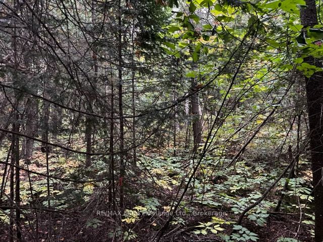 4 Shore Road, Saugeen Shores, ON, N0H 2L0