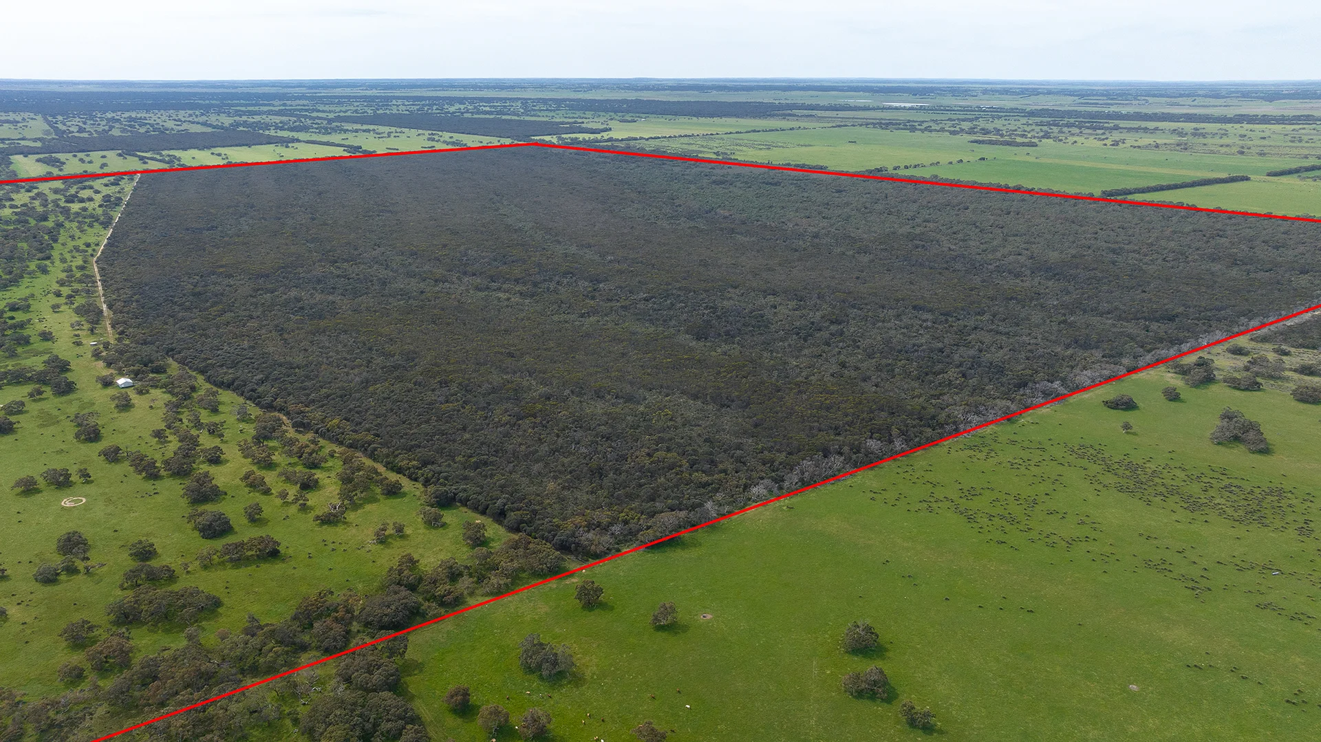 Additional image 25 of 18462 Princes Highway, Kingston Se SA 5275