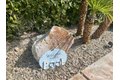 Additional image 3 of 272 Corte San Marco, Palm Desert, CA, 92260