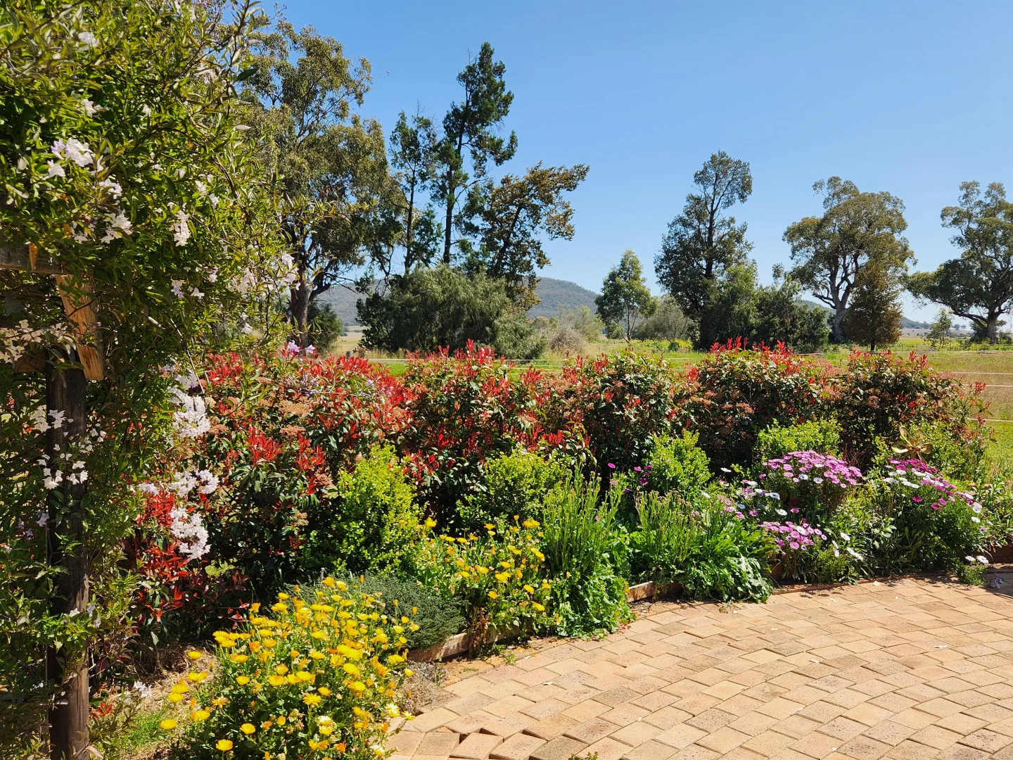 Additional image 5 of 164 Voca Rd, Curlewis NSW 2381