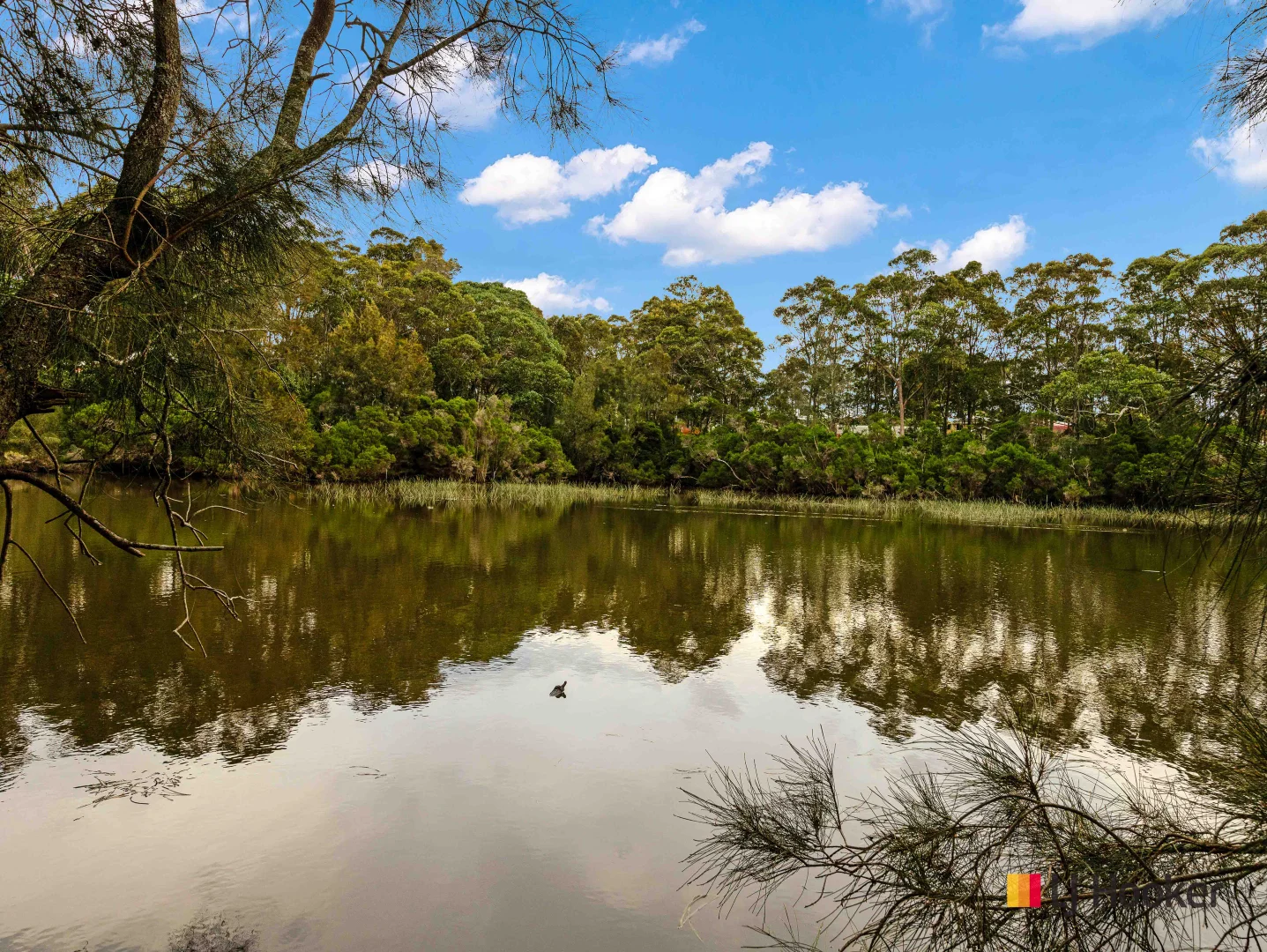 Additional image 19 of 157/438 Beach Road, Sunshine Bay NSW 2536