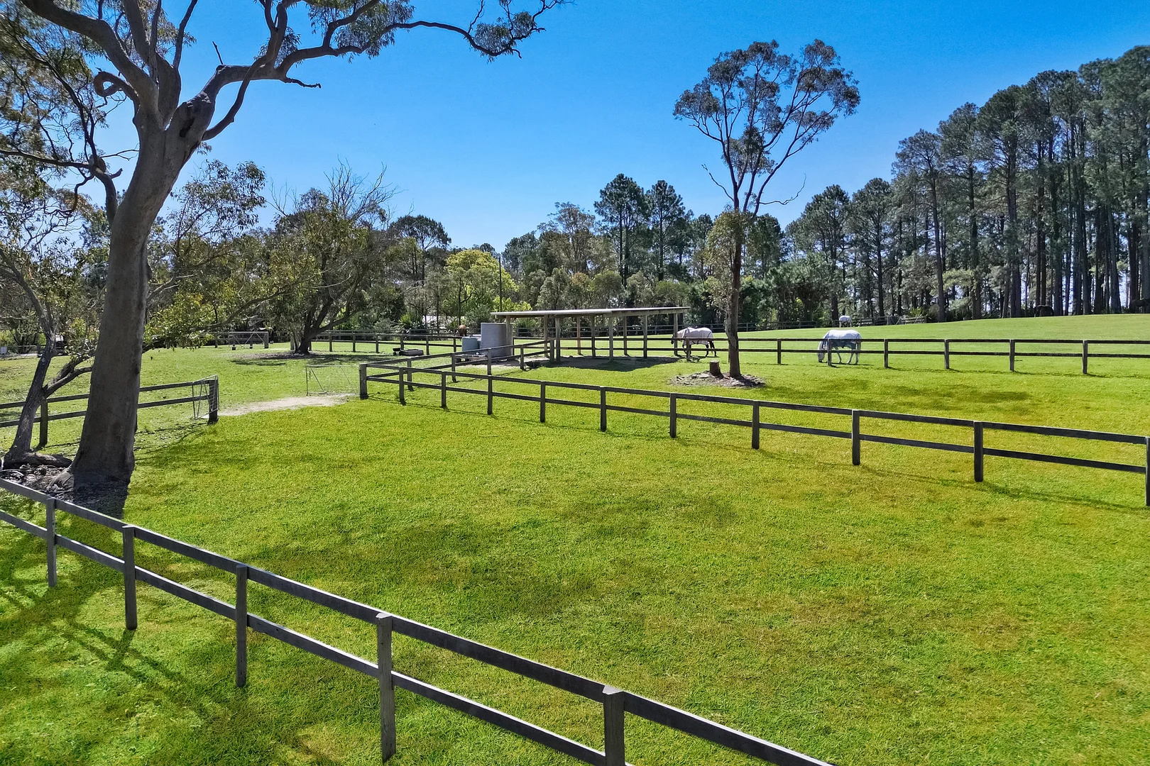 Additional image 8 of 161 Grants Road, Somersby NSW 2250