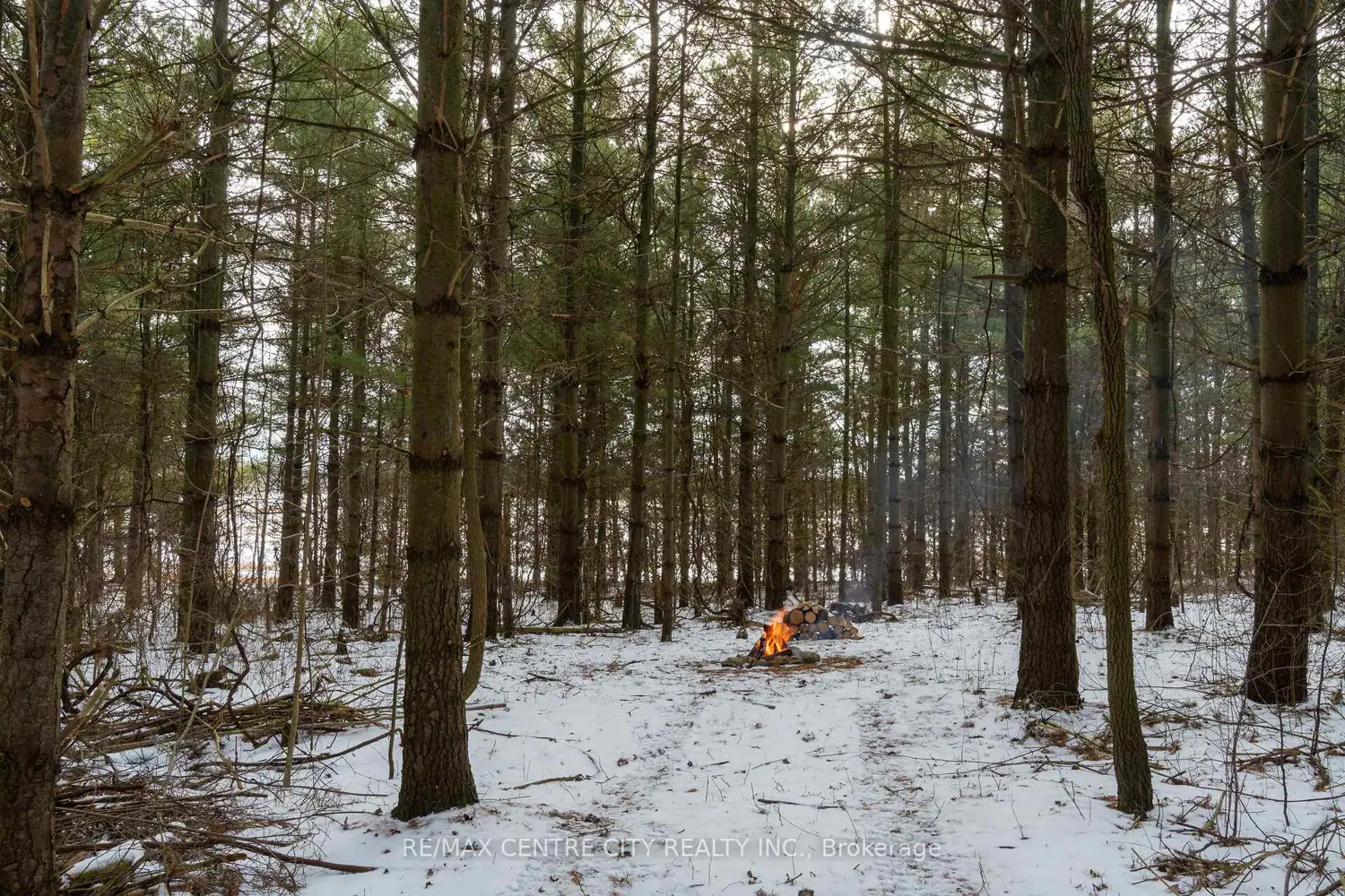 Additional image 8 of Pt Lt 24 Concession 5