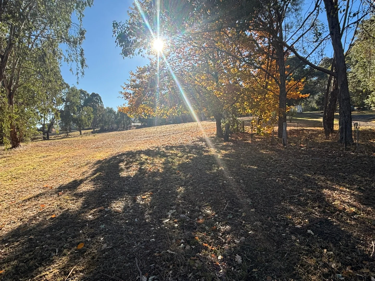 Additional image 9 of 7 Cathedral Close, Buxton VIC 3711