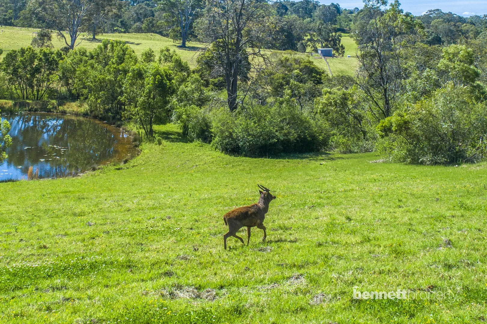 Additional image 9 of 624 Bells Line Of Road, Kurrajong NSW 2758
