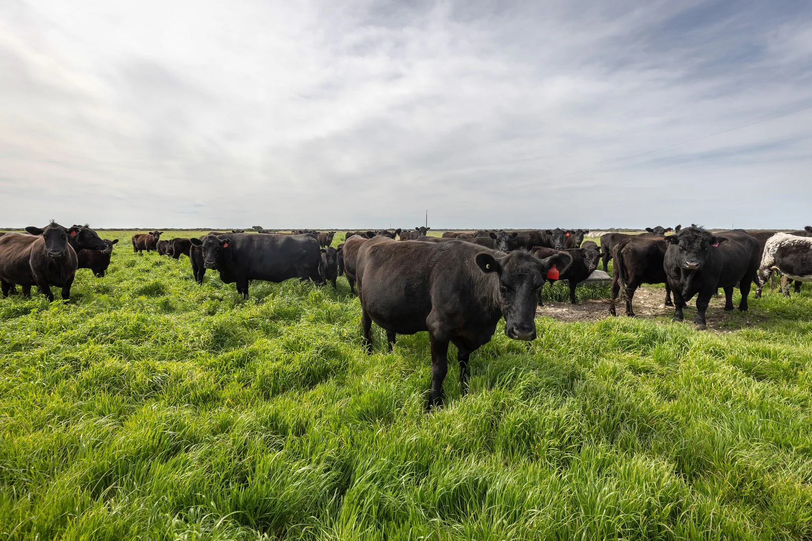 Additional image 19 of 18462 Princes Highway, Kingston Se SA 5275