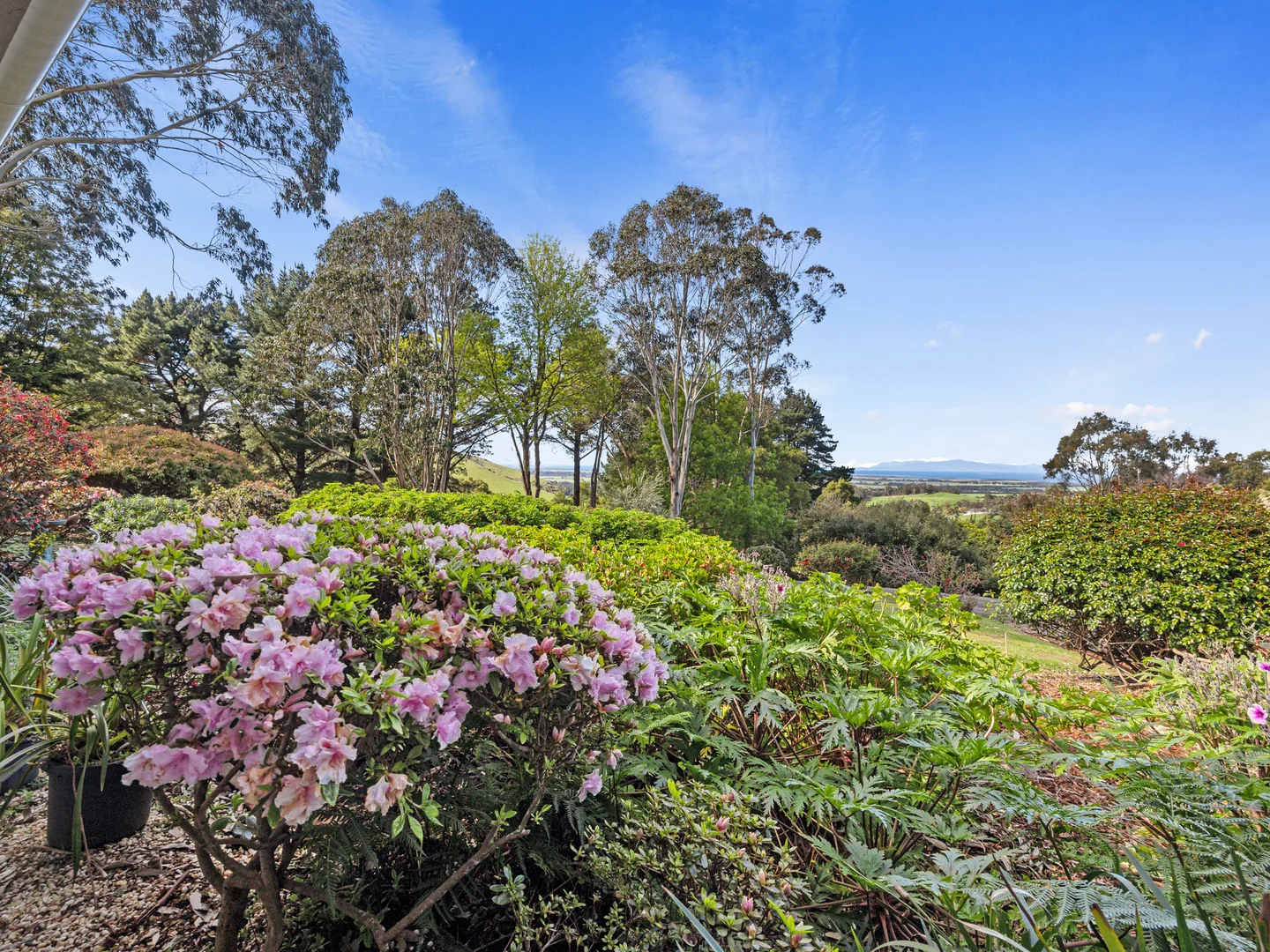 Additional image 23 of 305 Ameys Track, Foster VIC 3960