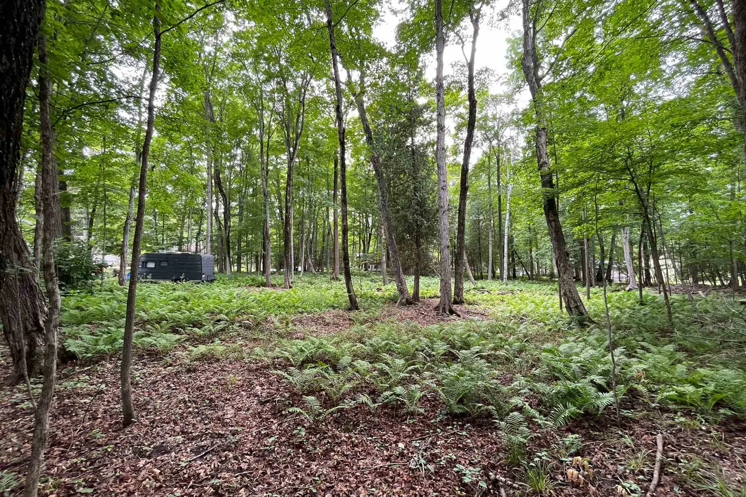 Additional image 7 of 11 Knox Road