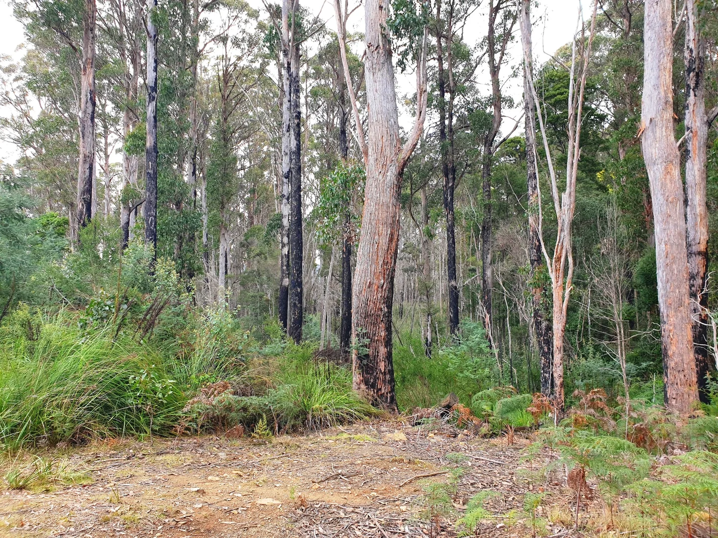 Additional image 5 of Lot 3 Costains Road, Geeveston TAS 7116