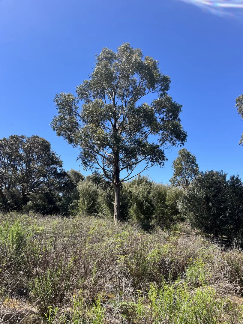 Additional image 4 of PID 6423792 Fairhaven Road, Memana TAS 7255