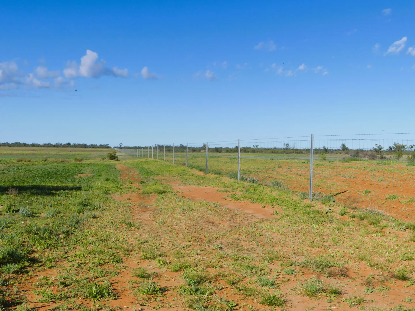 Additional image 5 of 'Wyuna & Neverfail' 5643 Pitherty Road, Eulo QLD 4491