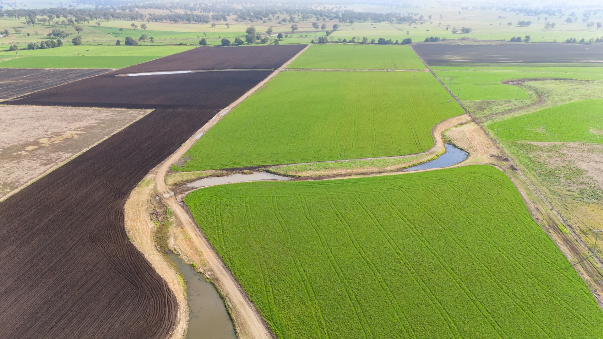 Additional image 6 of 'Billaroy' 395 Turanville Rd, Scone NSW 2337