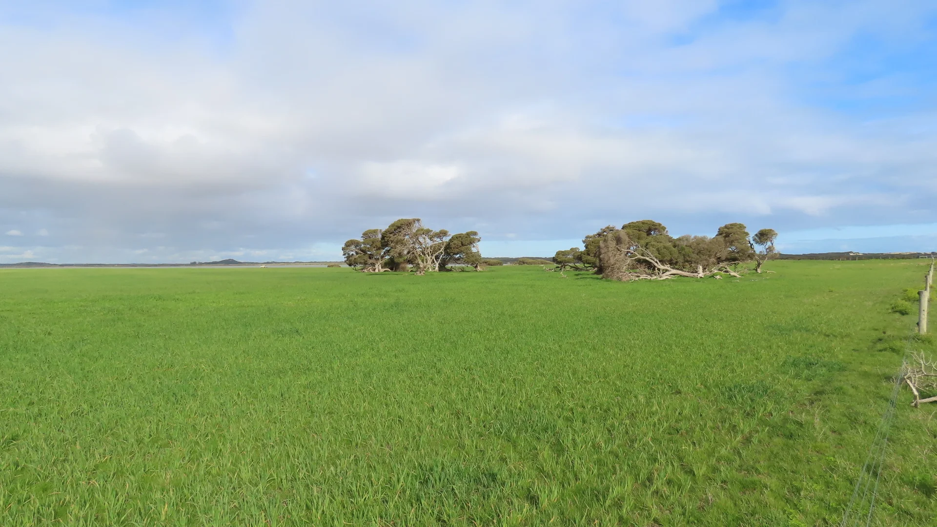 Additional image 5 of 703 Bog Lane, Nora Creina SA 5276