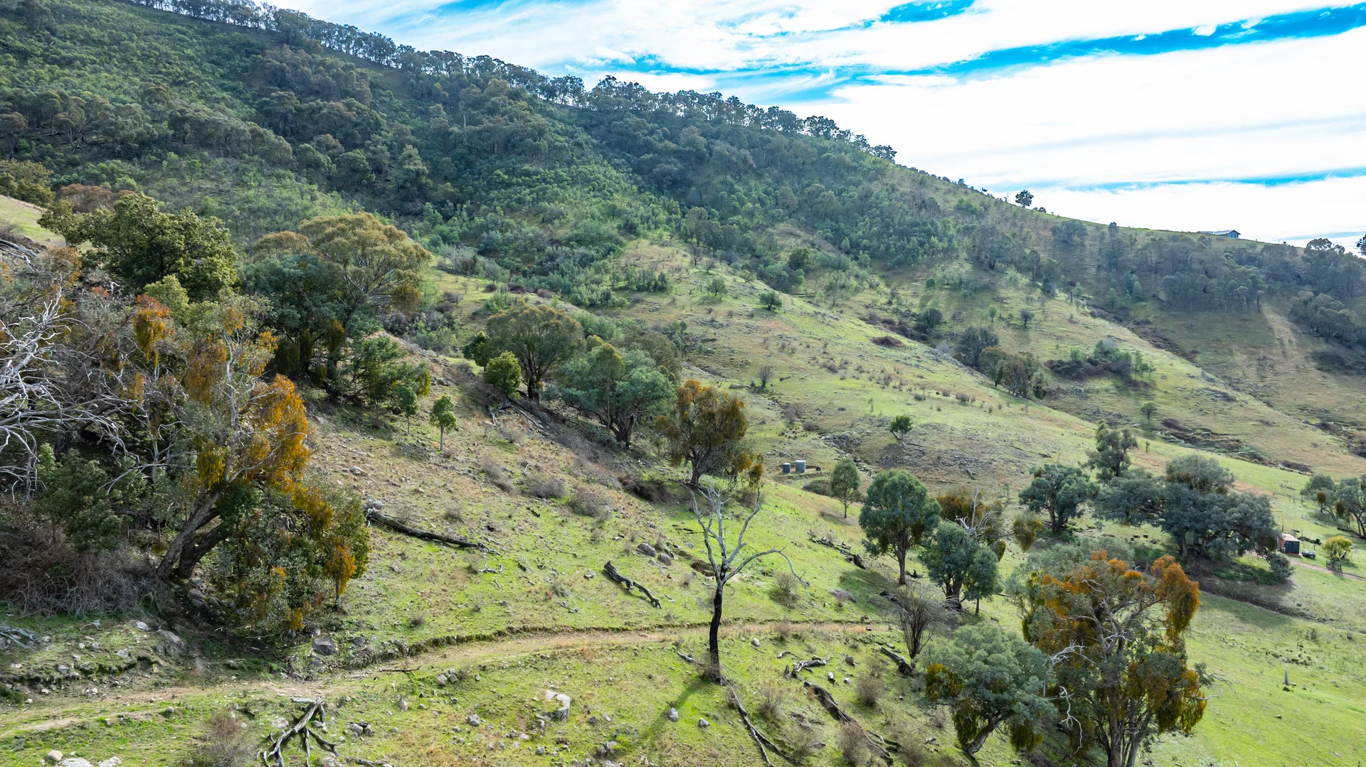 Additional image 8 of 8010 River Road, Talmalmo NSW 2640