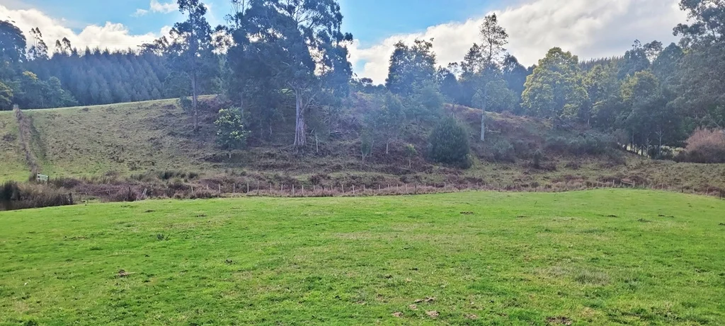 Additional image 7 of 148 Holmes Road, Roland TAS 7306