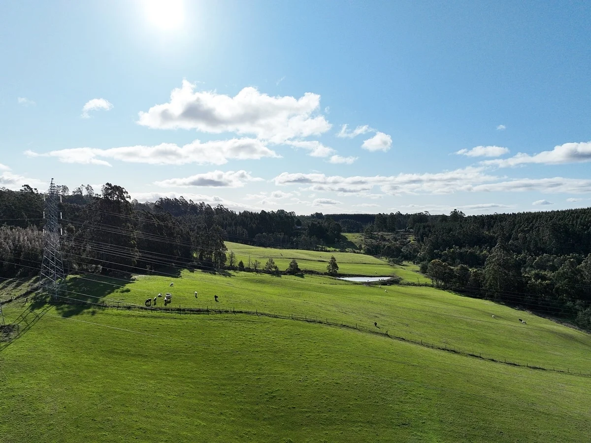 Additional image 17 of 148 Holmes Road, Roland TAS 7306