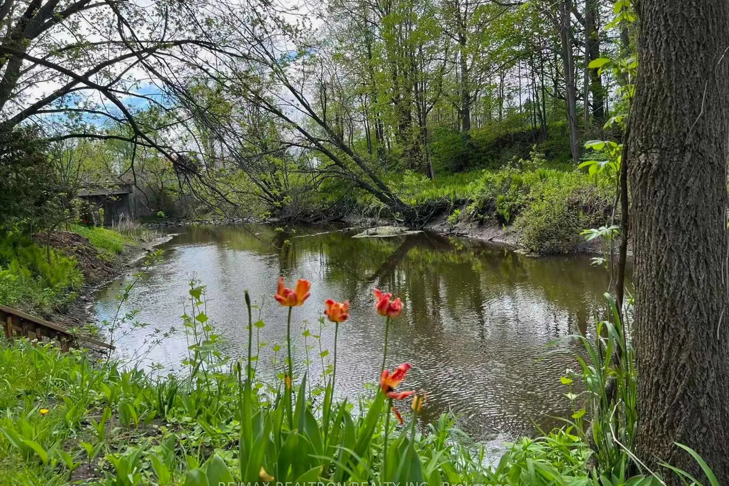 Additional image 6 of 357 Baldwin Road