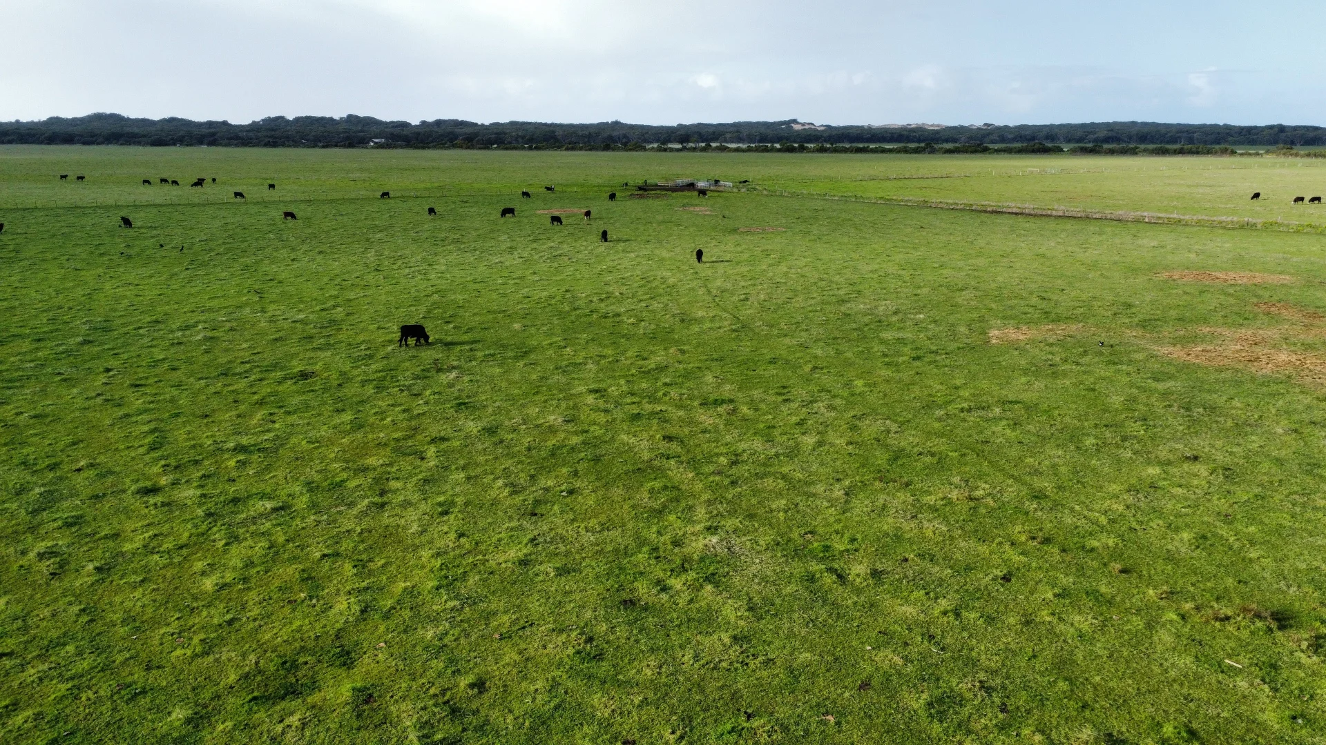 Additional image 20 of 703 Bog Lane, Nora Creina SA 5276