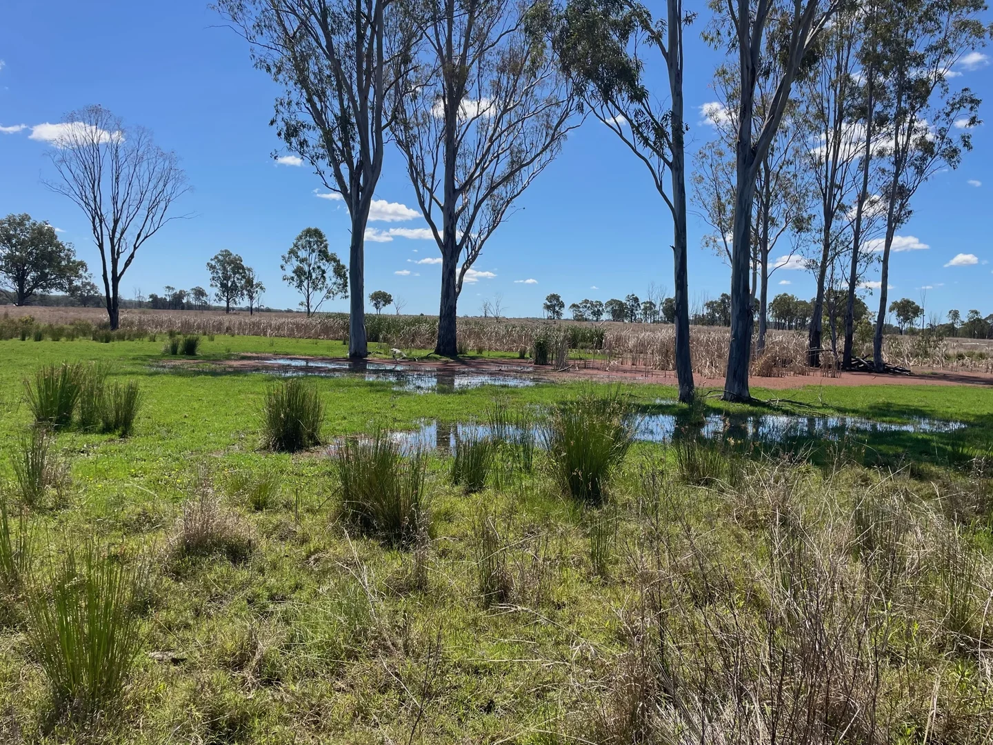 Additional image 14 of 8 Screening Plant Road, Cynthia QLD 4627