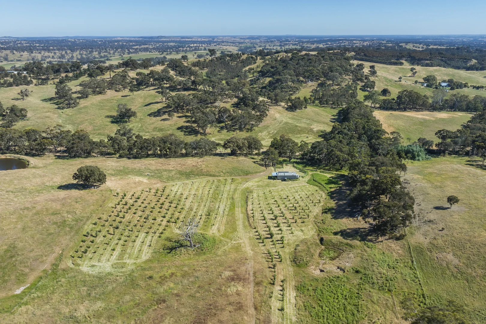 Additional image 20 of 679 Dallistons Road, Barfold VIC 3444