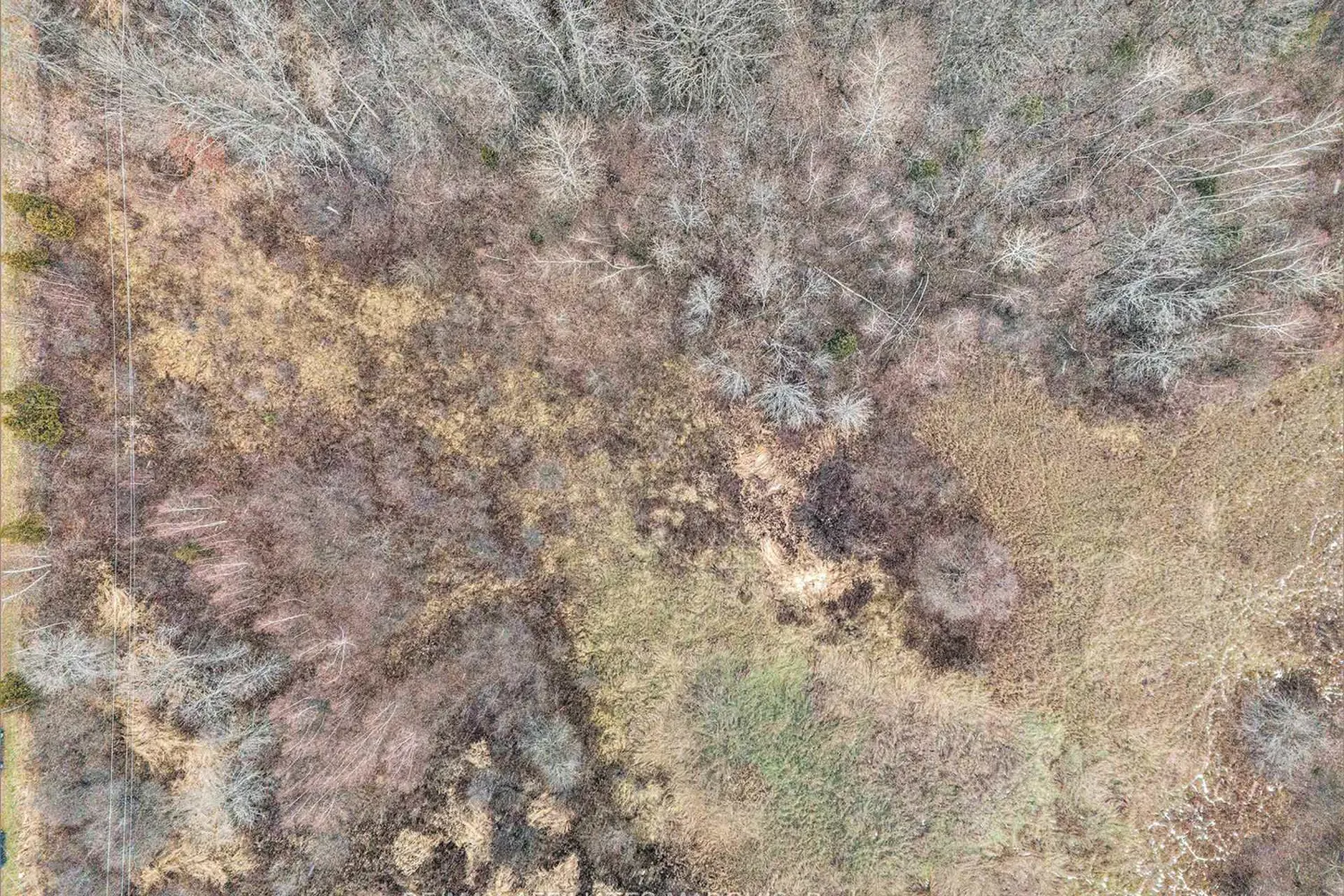 Additional image 4 of 000 4Th Concession Road