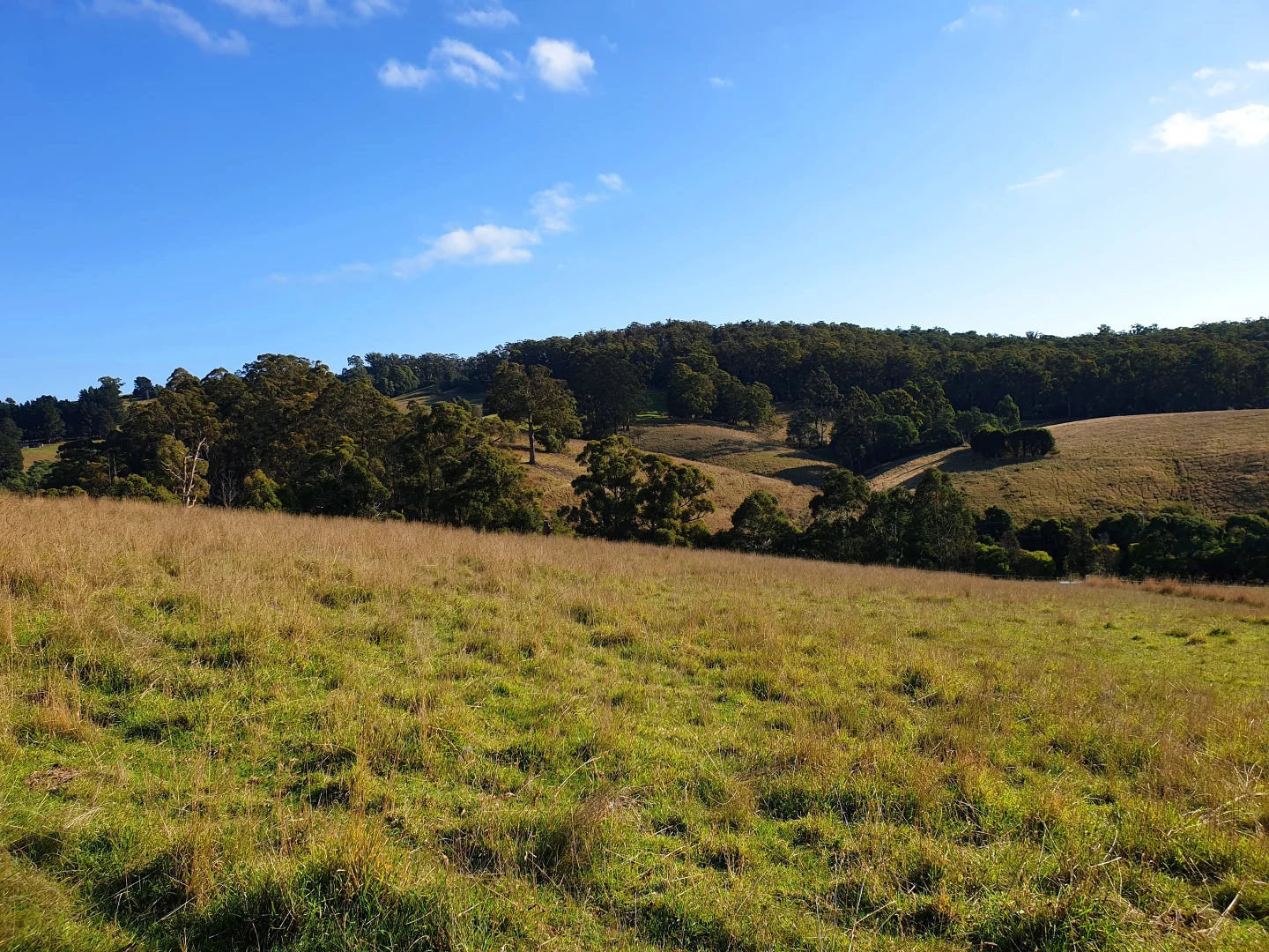 Additional image 3 of Lot 5 Wallace Road, Cygnet TAS 7112