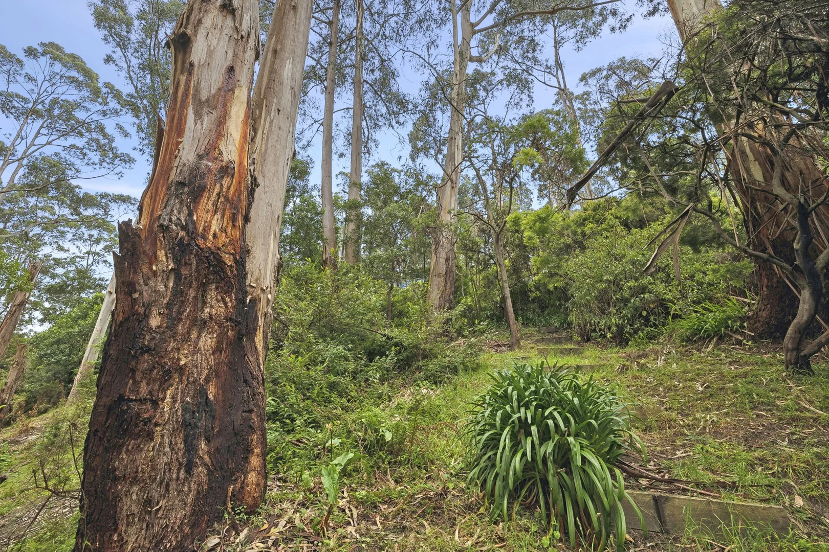 6 Karingal Drive, Wye River VIC 3234