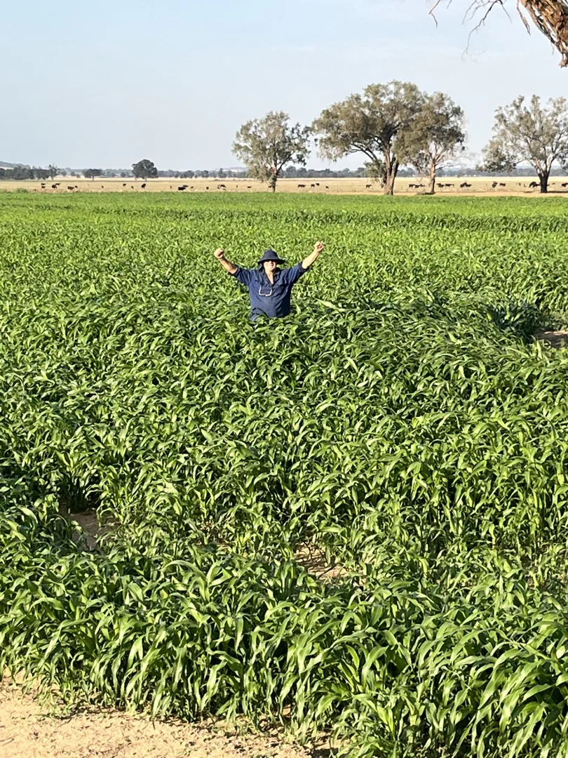 Additional image 12 of 10690 The Escort Way, Forbes NSW 2871