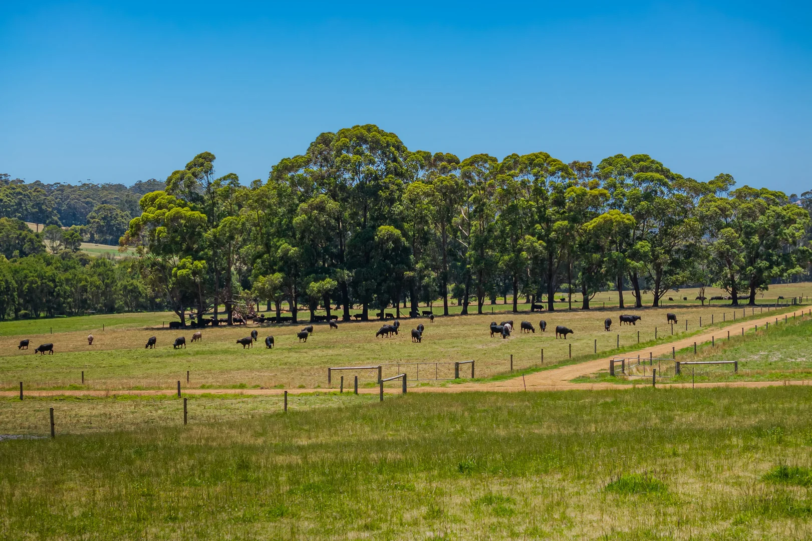 Additional image 20 of 203 Clarke Road, North Walpole WA 6398